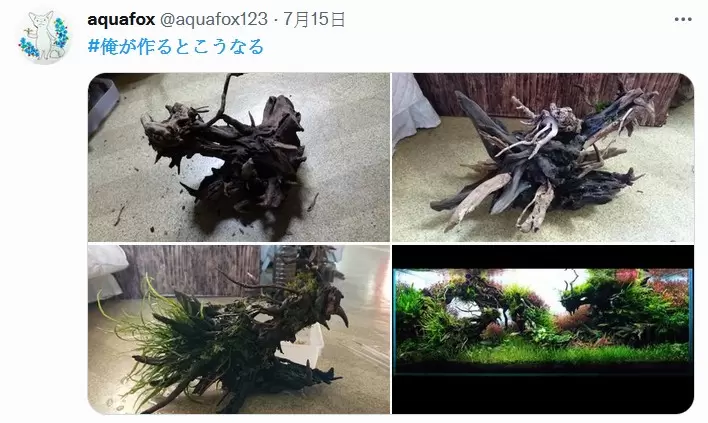 圖片9 圖片9