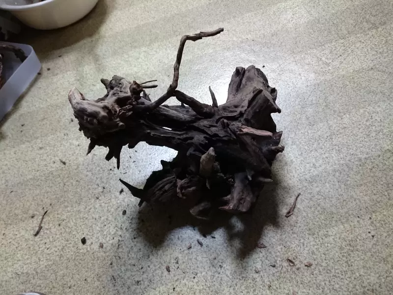 圖片10 圖片10