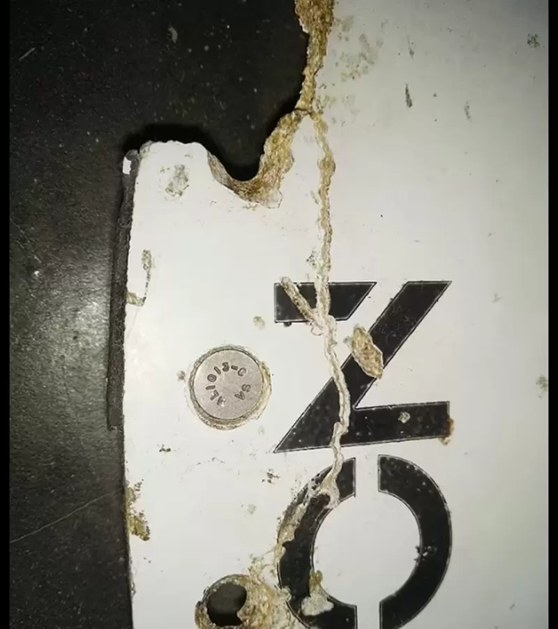 圖片5 圖片5