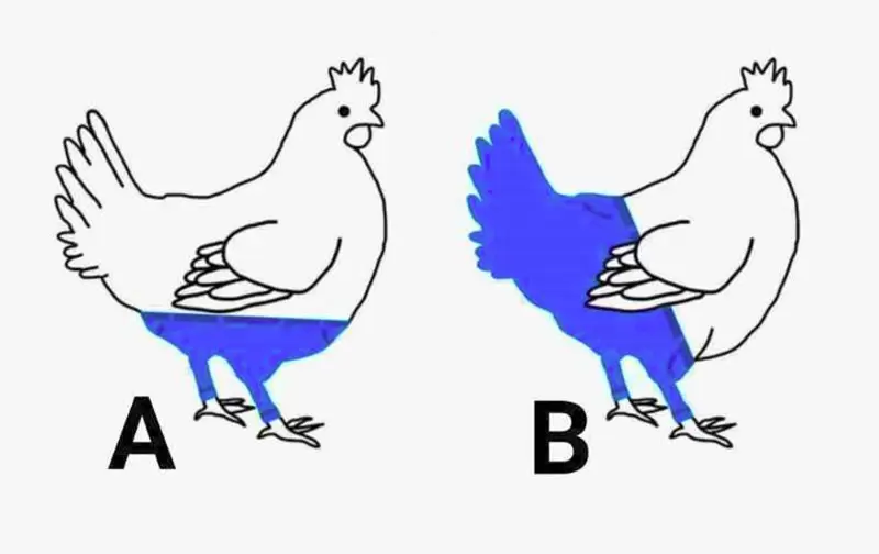 《肯德基》推特發問「雞會怎麼穿長褲？」網友一面倒選．．．？ | 葉羊報報