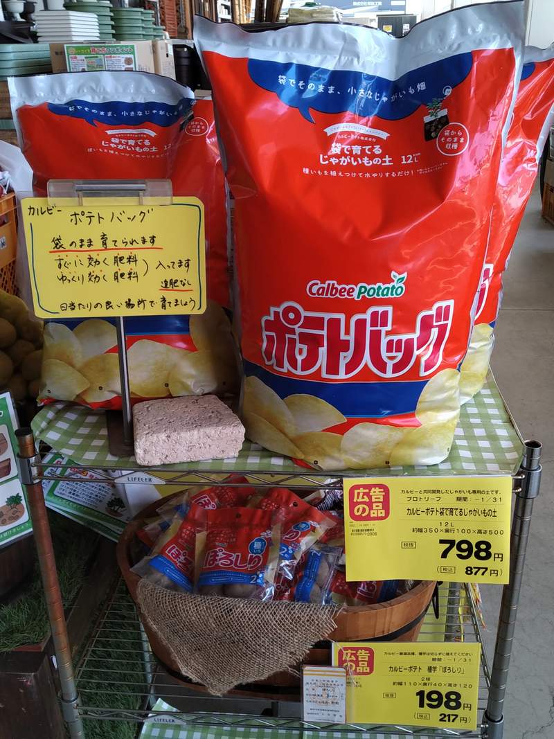 圖片4 圖片4