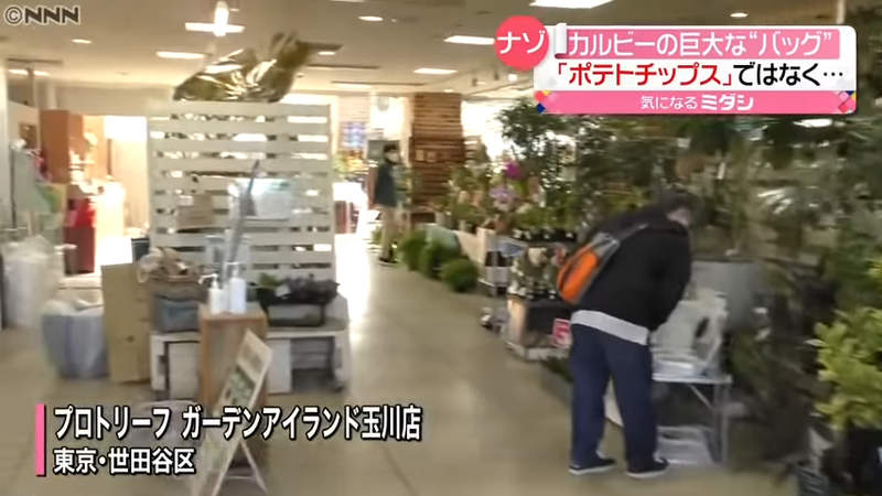 圖片7 圖片7