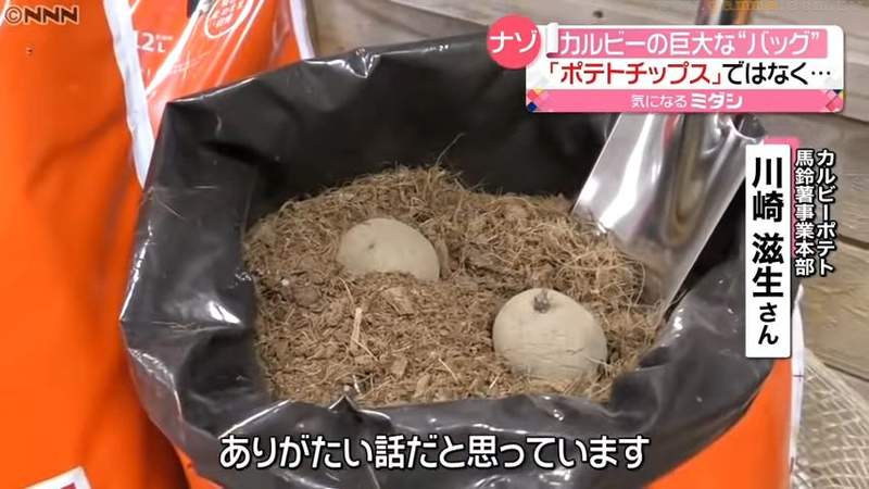 圖片15 圖片15