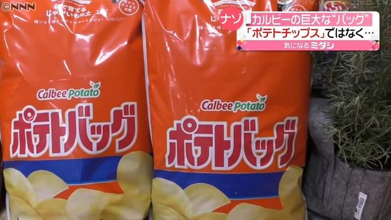 圖片9 圖片9