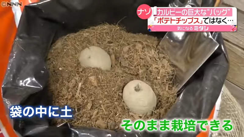 圖片10 圖片10