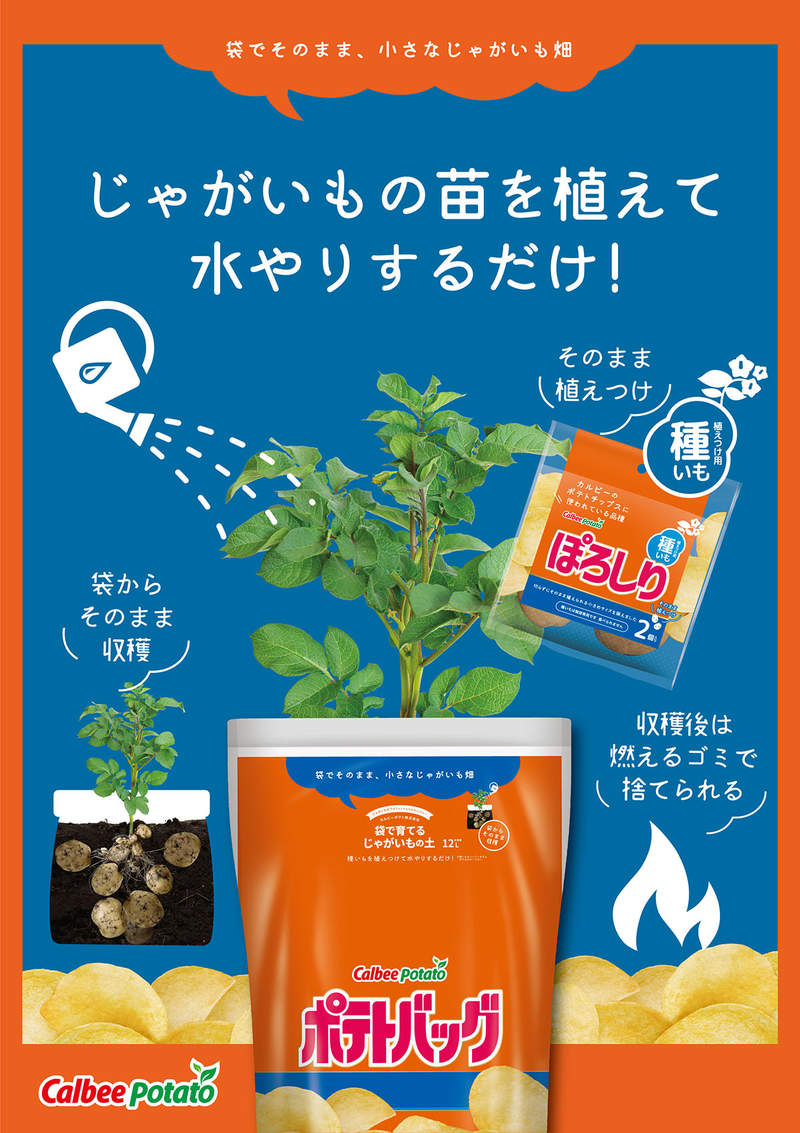 圖片6 圖片6