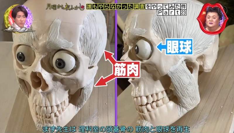 圖片11 圖片11