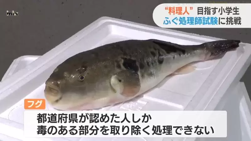 圖片4 圖片4