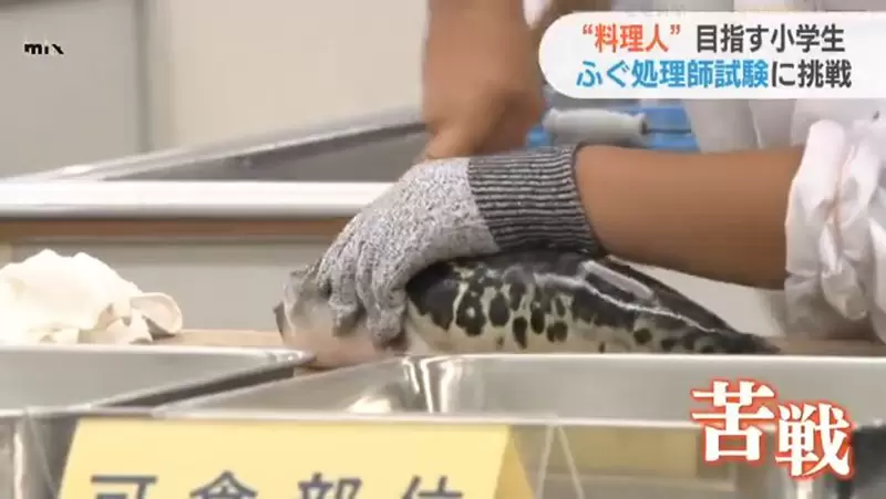 圖片32 圖片32