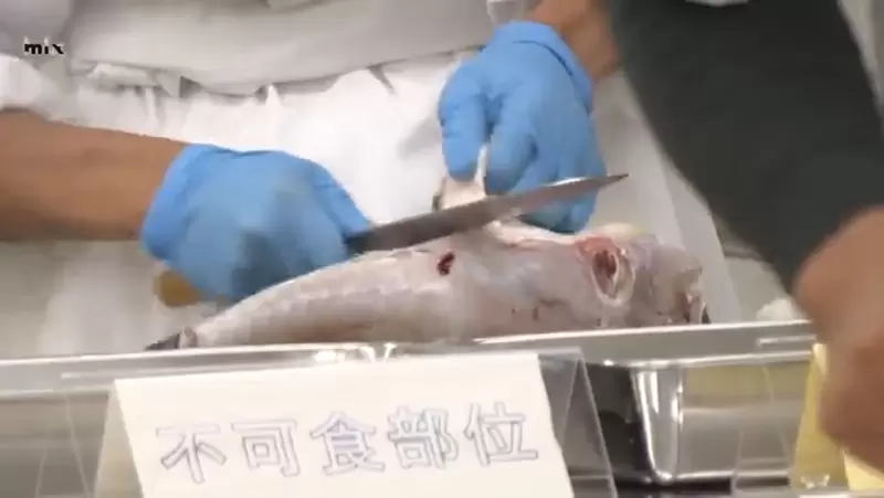 圖片28 圖片28