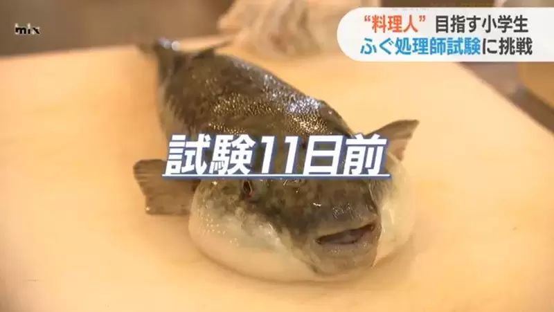 圖片15 圖片15
