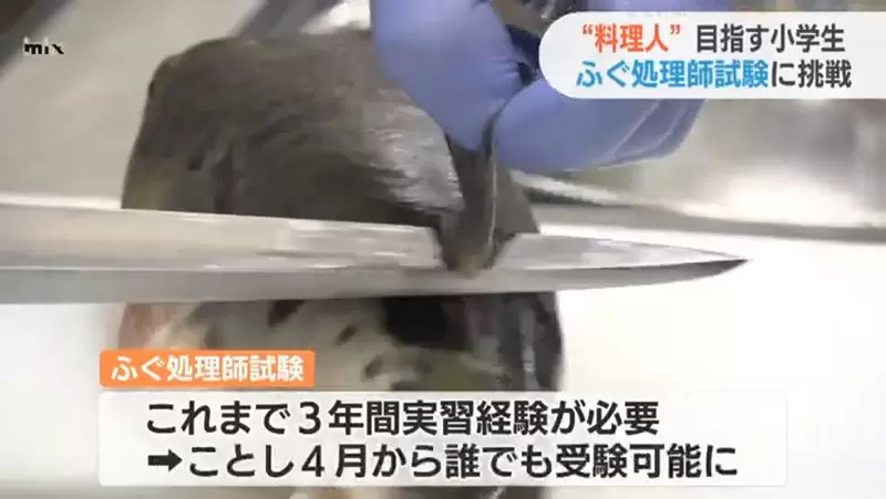 圖片5 圖片5