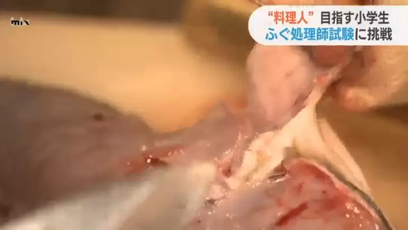 圖片19 圖片19