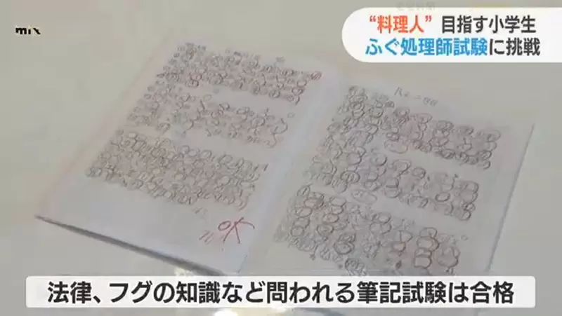圖片13 圖片13
