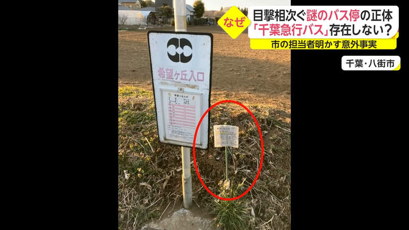 圖片4 圖片4