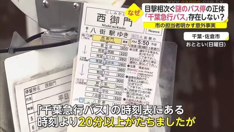 圖片11 圖片11