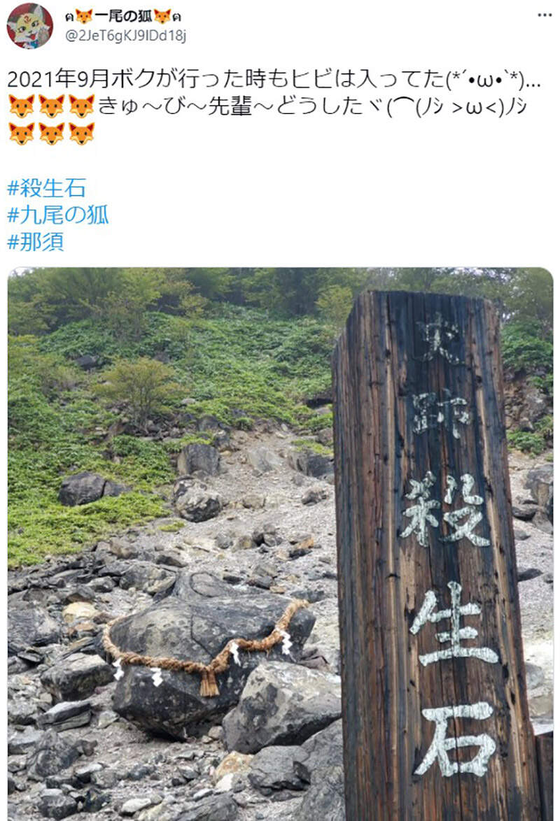 圖片6 圖片6