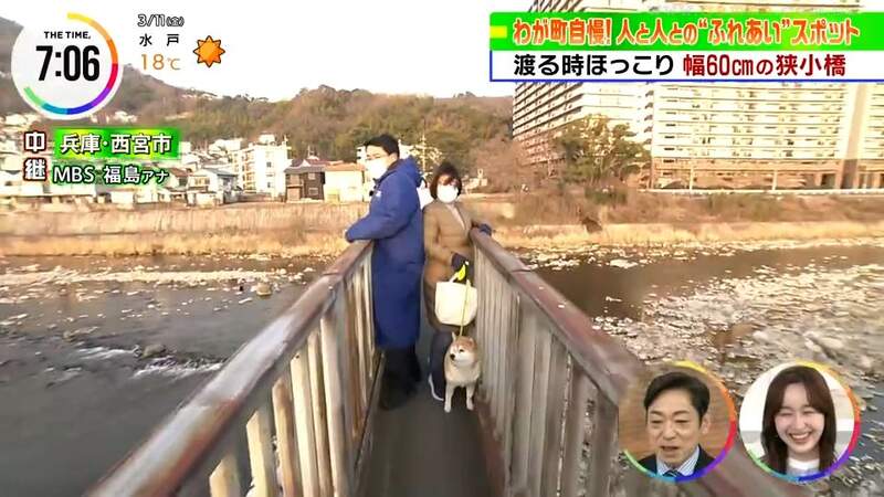 圖片12 圖片12