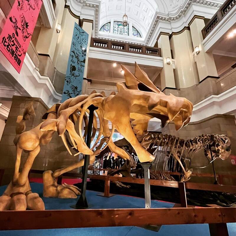 日本展覽 寶可夢化石博物館展 1 1寶可夢化石也太可愛了吧