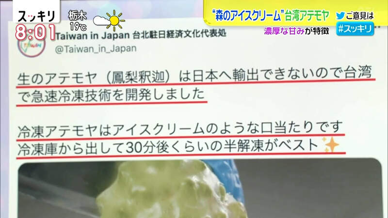 圖片6 圖片6