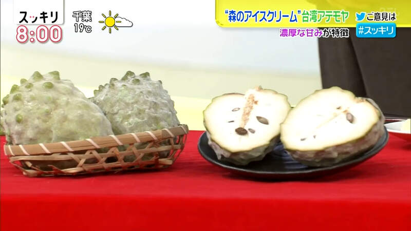 圖片4 圖片4
