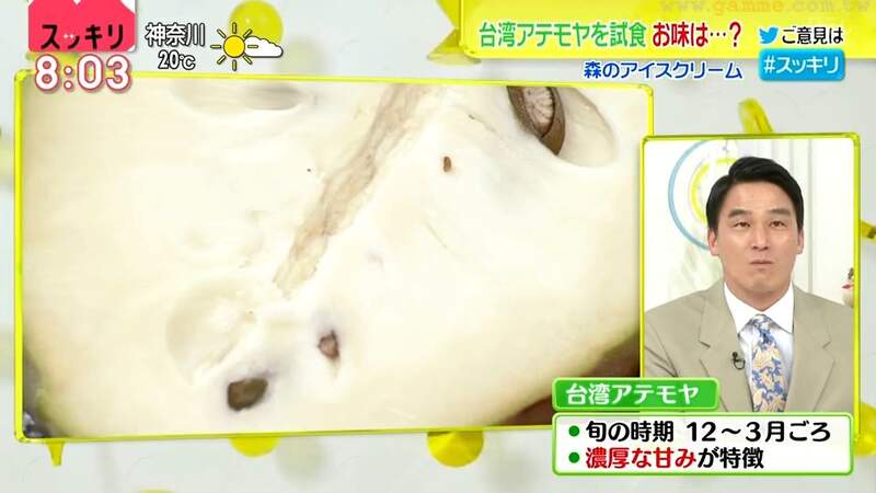 圖片14 圖片14