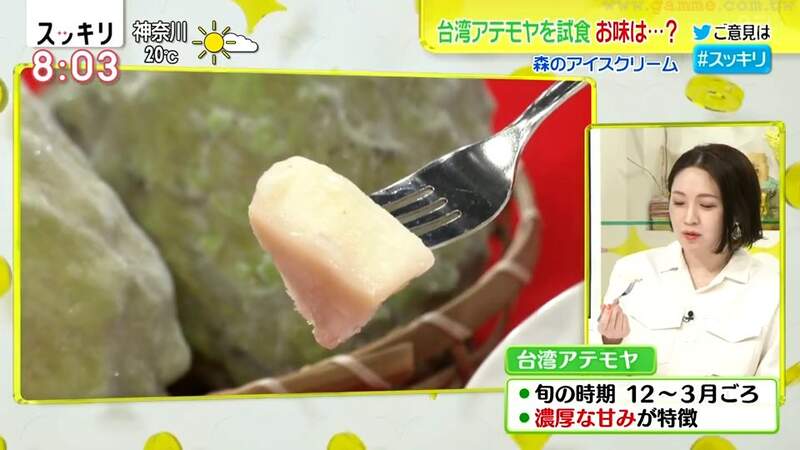圖片12 圖片12