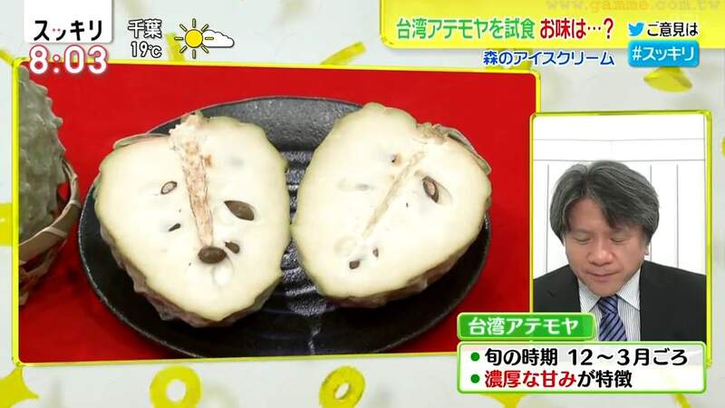 圖片13 圖片13