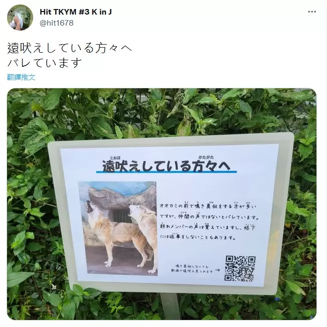 圖片6 圖片6