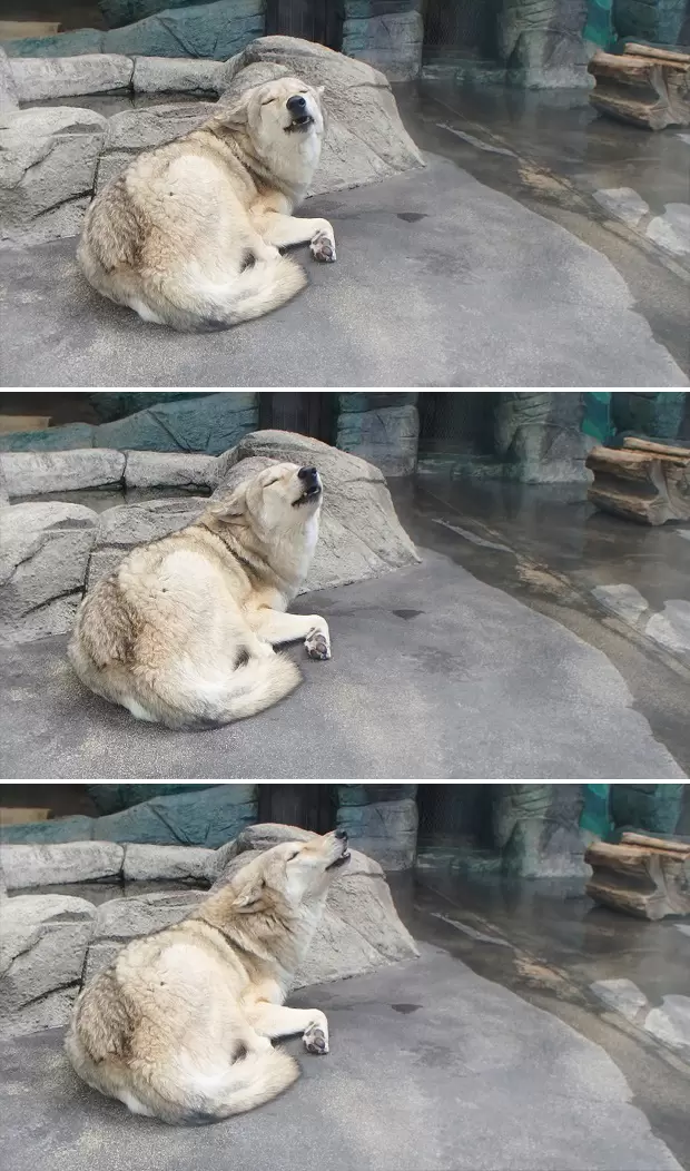 圖片5 圖片5