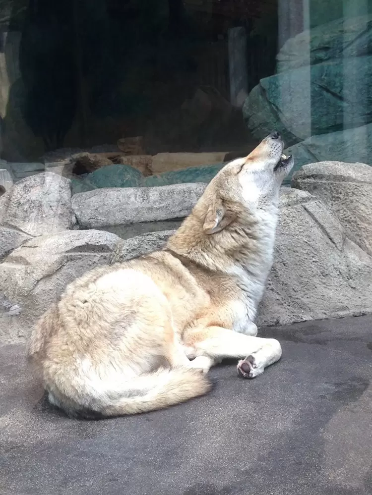 圖片7 圖片7
