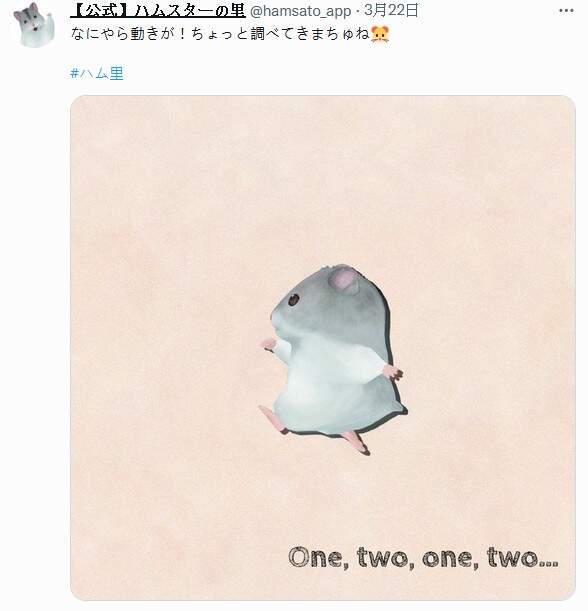 圖片7 圖片7