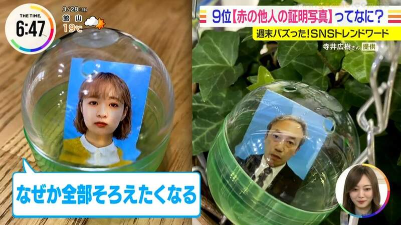 圖片9 圖片9