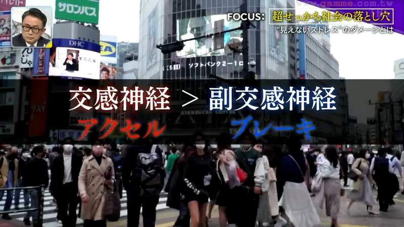 圖片17 圖片17