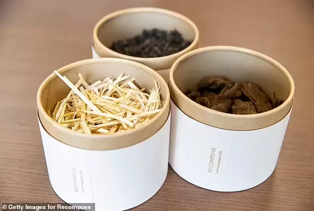 圖片7 圖片7