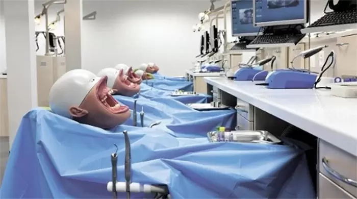 網友分享《那些親眼看見的恐怖畫面》不覺得牙科的人體模型有點可怕嗎(抖) | 葉羊報報