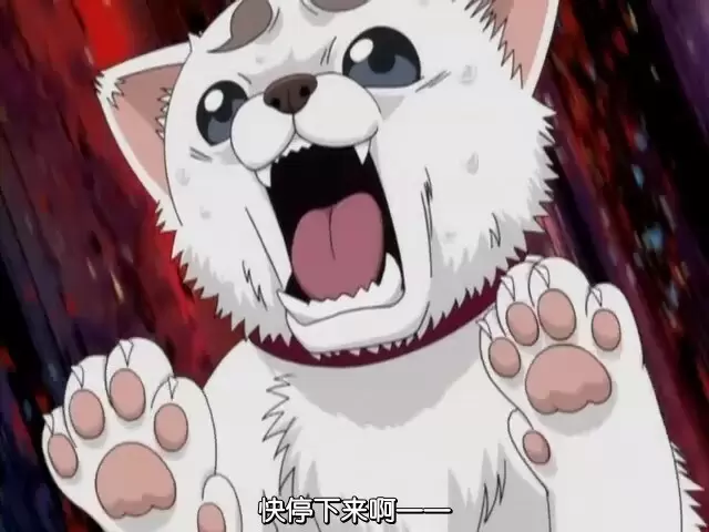圖片6 圖片6