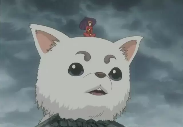 圖片8 圖片8