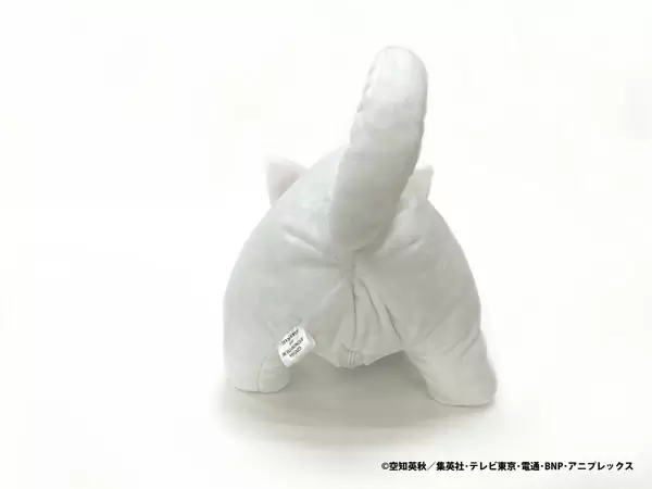 圖片5 圖片5