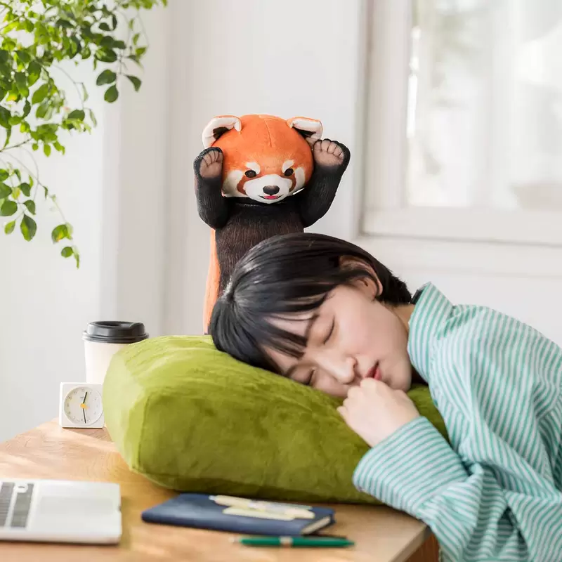 《小貓熊威嚇午睡枕》保持警覺性讓你午休時間不輕易睡過頭 | 葉羊報報