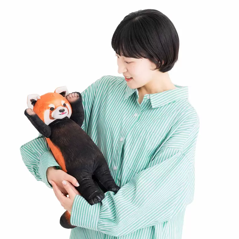 圖片5 圖片5