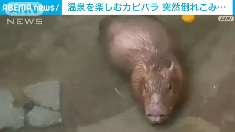 圖片6 圖片6