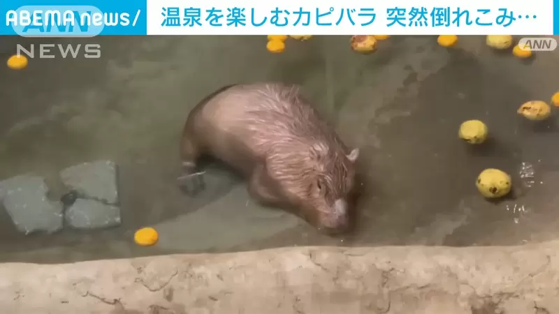 圖片4 圖片4