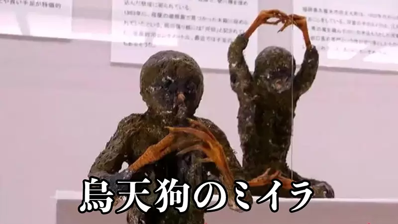 圖片7 圖片7