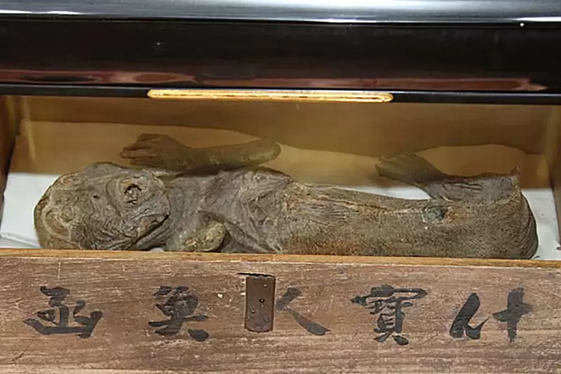 圖片4 圖片4
