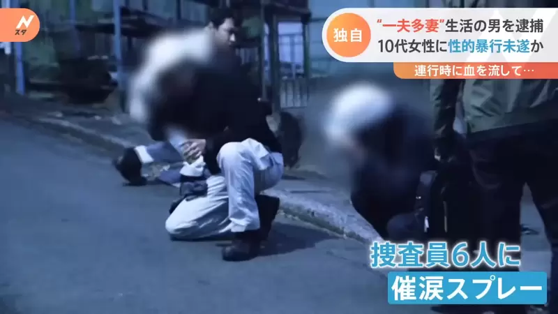 圖片6 圖片6