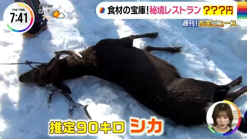 圖片17 圖片17