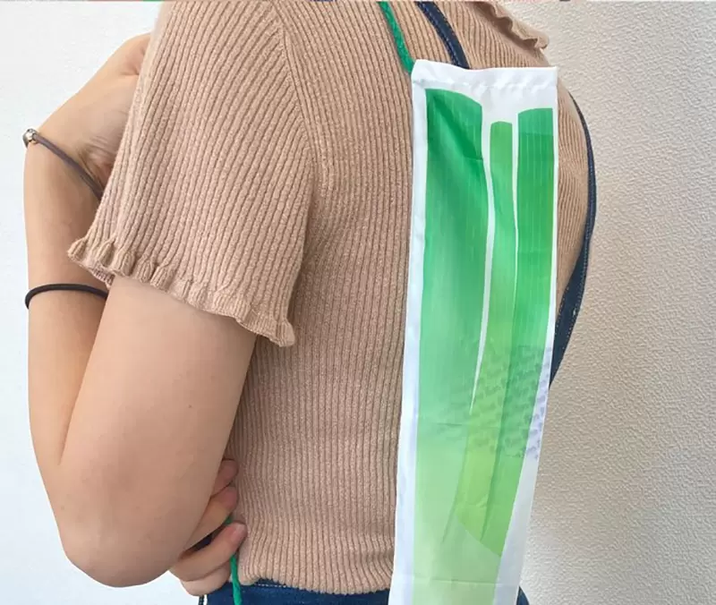 《日本爆賣青蔥專用袋》發售不到半年就宣布再販 大家都拿來裝些什麼東西呢？ | 葉羊報報