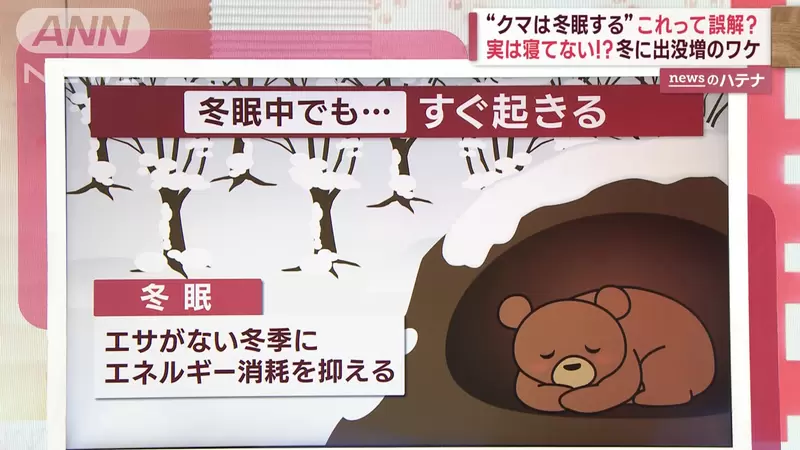 圖片6 圖片6