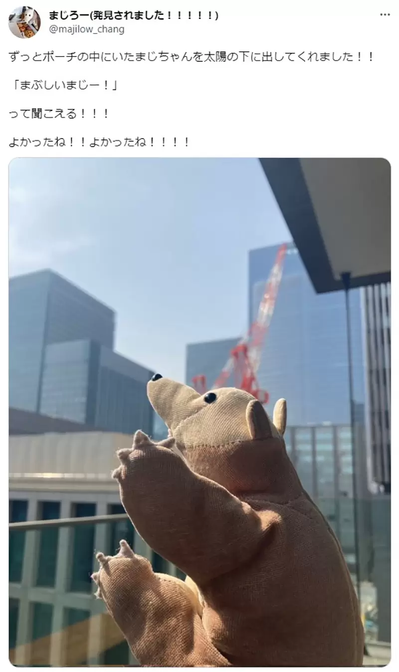 圖片13 圖片13